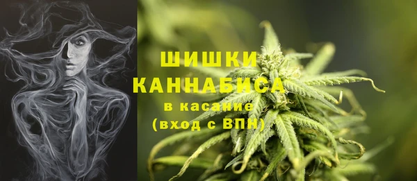 шишки Балабаново