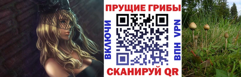 Галлюциногенные грибы мицелий  даркнет телеграм  Сланцы 